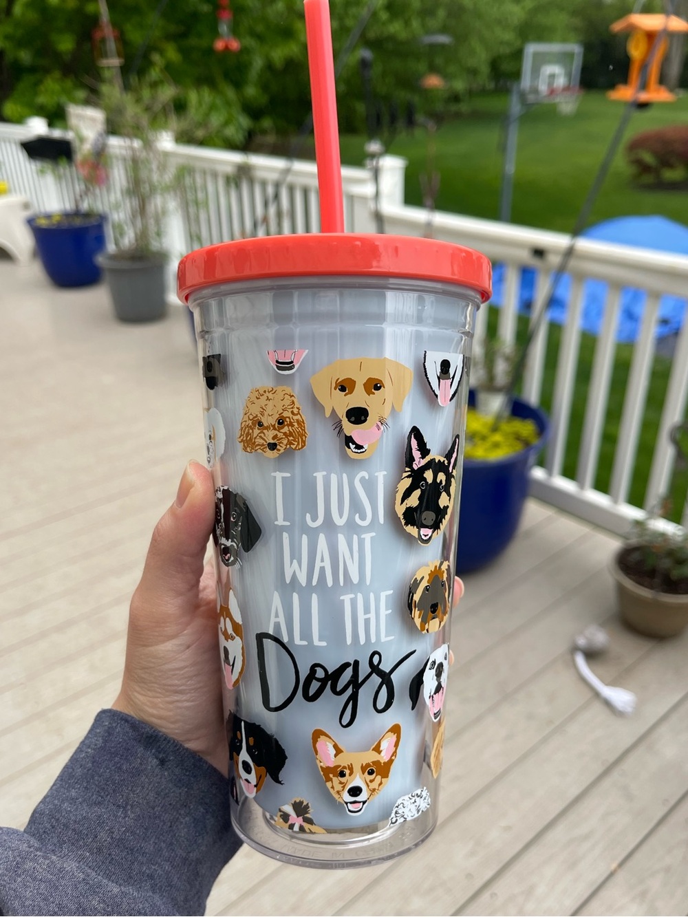 Reusable Dogs Cup